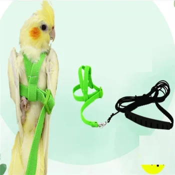 2020 New Sale Anti-bite Flying Training Rope Parrot Bird Pet Leash Kits Ultralight Harness Leash Soft Portable Pet Playthings
2020 New Sale Anti-bite Flying Training Rope Parrot Bird Pet Leash Kits Ultralight Harness Leash Soft Portable Pet Playthings