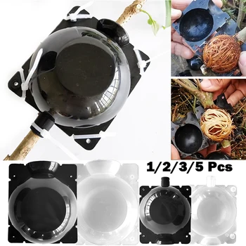 Plant Rooting Device Plant Rooter Box Grafting Use to Roses Trees Fruit Bushes Garden Pruning Shears Rooting Growing Box