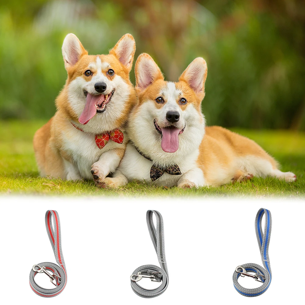 Nylon Reflective Dog Leash For Small Medium Large Dog Outdoor Running Walking Training Safe Pet Dog Rope Collar Harness Leash
Nylon Reflective Dog Leash For Small Medium Large Dog Outdoor Running Walking Training Safe Pet Dog Rope Collar Harness Leash