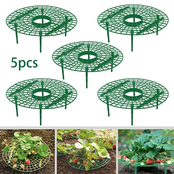 5pcs Strawberry Supports Plant Plastic Tool Growing Circle Support Rack Farming Improve Harvest Frame Lightweight Removable Rack
5pcs Strawberry Supports Plant Plastic Tool Growing Circle Support Rack Farming Improve Harvest Frame Lightweight Removable Rack