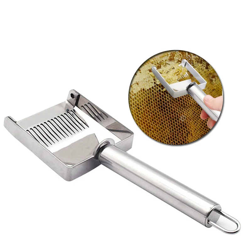 Multifunctional Honey Cutter Stainless Steel Double Needle Beekeeping Tools Suitable for Uncapping Forks Honey Honeycomb Scraper
Multifunctional Honey Cutter Stainless Steel Double Needle Beekeeping Tools Suitable for Uncapping Forks Honey Honeycomb Scraper
