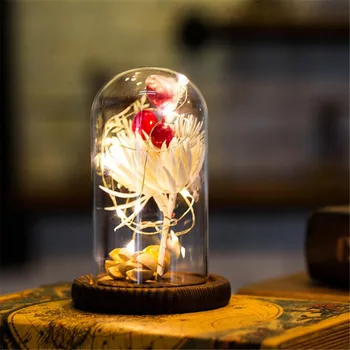 Mini Led Light Christmas Gift Glass Cover Holiday Gift USB Socket For Home Decorative Light Room Bedroom Lighting
Mini Led Light Christmas Gift Glass Cover Holiday Gift USB Socket For Home Decorative Light Room Bedroom Lighting