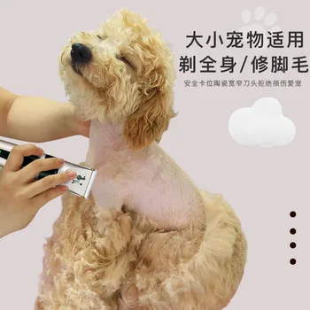 Dog Lady Shaver Electric Pet Hair Cutter Teddy Cat Shave Dog Fur Industry Electric Fader Hairdressing Pedicure Hair Useful
Dog Lady Shaver Electric Pet Hair Cutter Teddy Cat Shave Dog Fur Industry Electric Fader Hairdressing Pedicure Hair Useful
