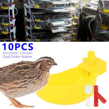 10pcs Automatic Water Feeder Cups Drinker Chicken Waterer Poultry Chook Bird For Quail, Goose, Chicken, Duck, Pigeon
10pcs Automatic Water Feeder Cups Drinker Chicken Waterer Poultry Chook Bird For Quail, Goose, Chicken, Duck, Pigeon