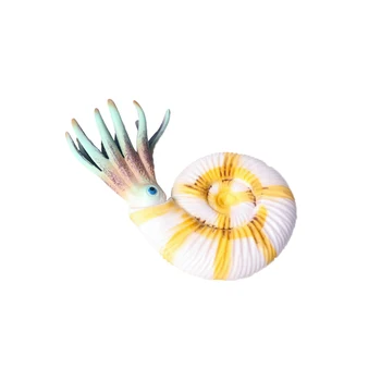Delicate Marine Animal Model Simulation Toy Nautilus Hand Model for Children Size S Nautilus
Delicate Marine Animal Model Simulation Toy Nautilus Hand Model for Children Size S Nautilus