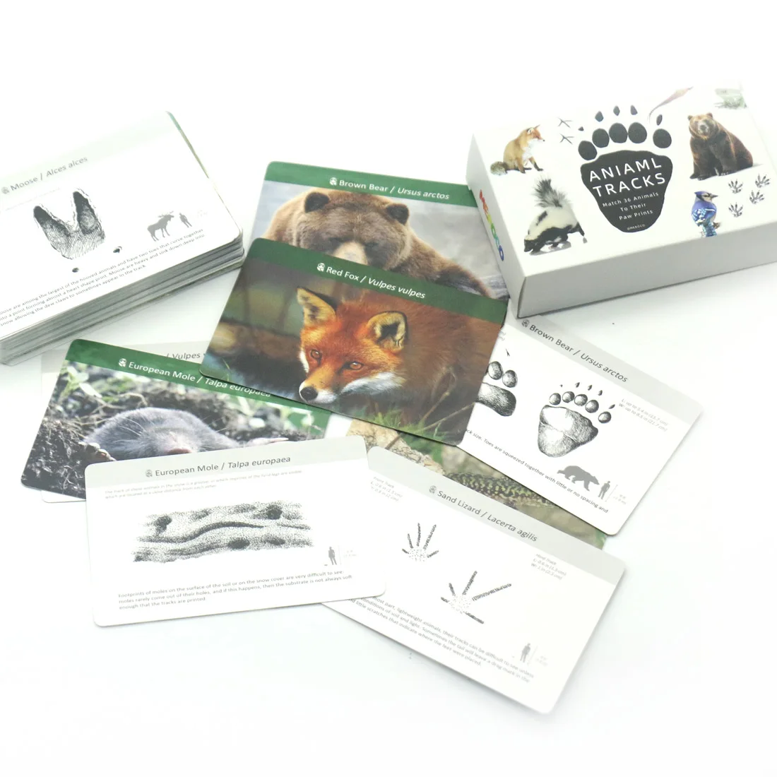 Montessori Materials Animal Footprints Learning Toys Educational Flash Cards For Kids Match Cards Juguetes Montessori E2864H
Montessori Materials Animal Footprints Learning Toys Educational Flash Cards For Kids Match Cards Juguetes Montessori E2864H