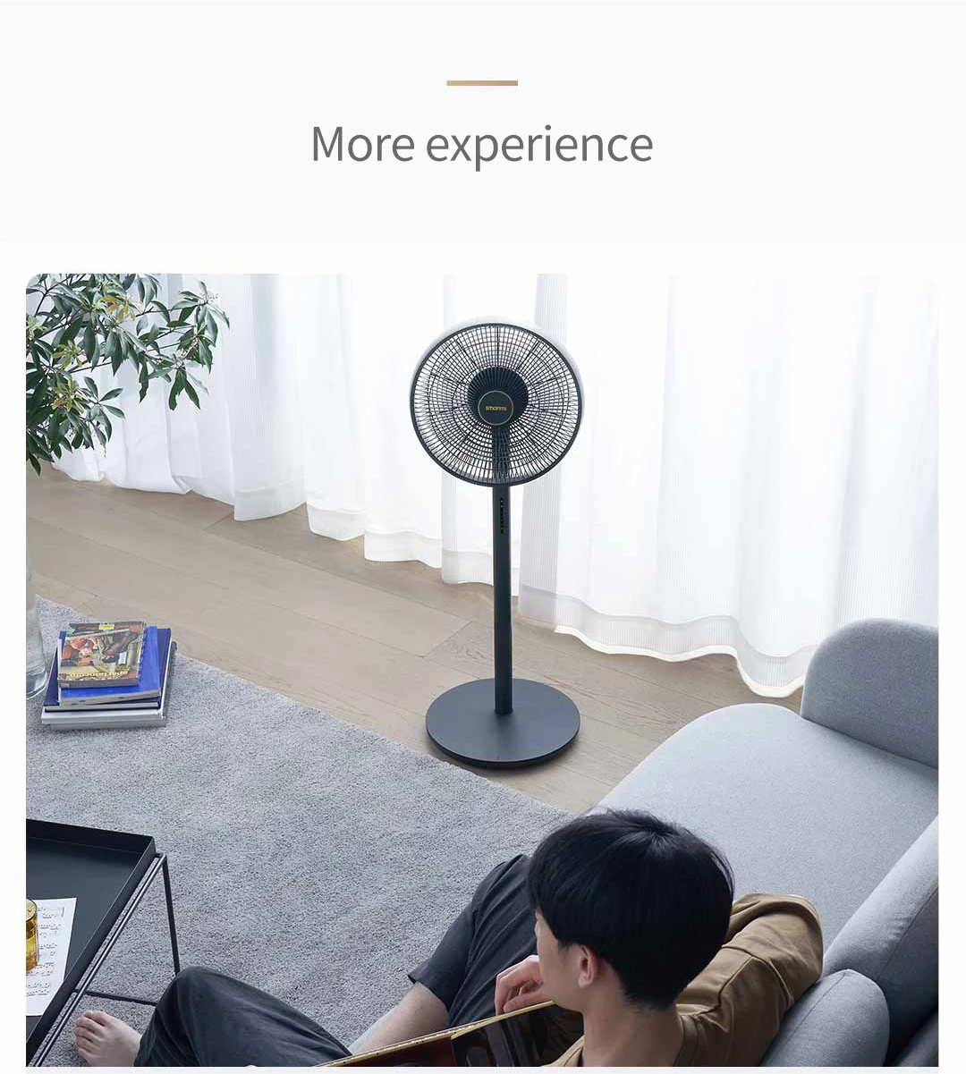 Xiaomi Smartmi Pedestal Fan 3