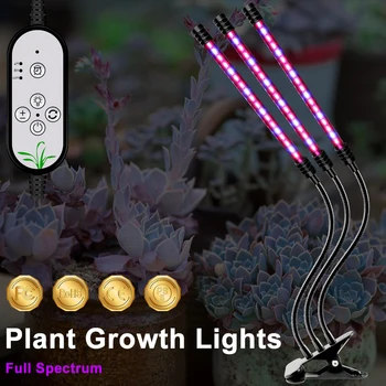 Led Grow Light USB Led Full Spectrum Plant Lamp 5V Timer Lighting Indoor Growing Plants Light SMD 2835 Led Phyto Lamp 9W 18W 27W
Led Grow Light USB Led Full Spectrum Plant Lamp 5V Timer Lighting Indoor Growing Plants Light SMD 2835 Led Phyto Lamp 9W 18W 27W