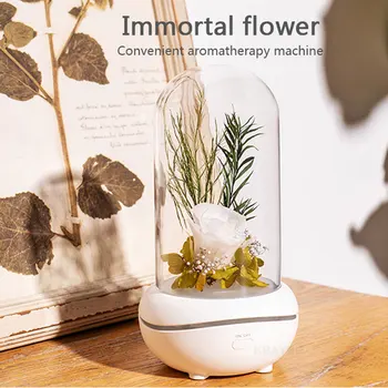 LED Rose Ever-fresh flower Night lamp rechargable decorate dream creative desk light girl friend flower Christmas birthday gift
LED Rose Ever-fresh flower Night lamp rechargable decorate dream creative desk light girl friend flower Christmas birthday gift