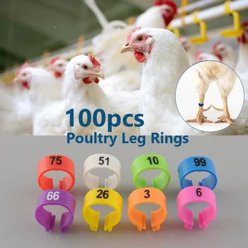 One set of 1-100 Numbered 10.5mm Poultry Leg Rings Bird Pigeon Parrot Duck Hen Rings Clip Bird Foot Ring Pigeon Pet Product
One set of 1-100 Numbered 10.5mm Poultry Leg Rings Bird Pigeon Parrot Duck Hen Rings Clip Bird Foot Ring Pigeon Pet Product