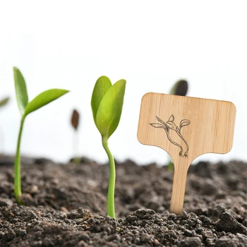 50 Pcs Flower Card Multi-meat Label Board Insert Clay Bamboo Bamboo Landscape Signage Nameplate Carved Bamboo Wood
50 Pcs Flower Card Multi-meat Label Board Insert Clay Bamboo Bamboo Landscape Signage Nameplate Carved Bamboo Wood