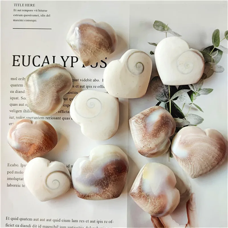 Натуральная фотооболочка для украшения
Натуральная фотооболочка для украшения