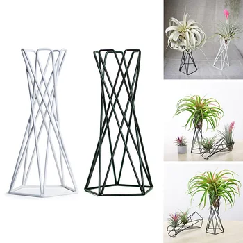Iron Tillandsia Holder Flower Pots Stand Nordic Style Geometric Air Plant Holder For Indoor Outdoor Table Home Garden Ornaments 
Iron Tillandsia Holder Flower Pots Stand Nordic Style Geometric Air Plant Holder For Indoor Outdoor Table Home Garden Ornaments