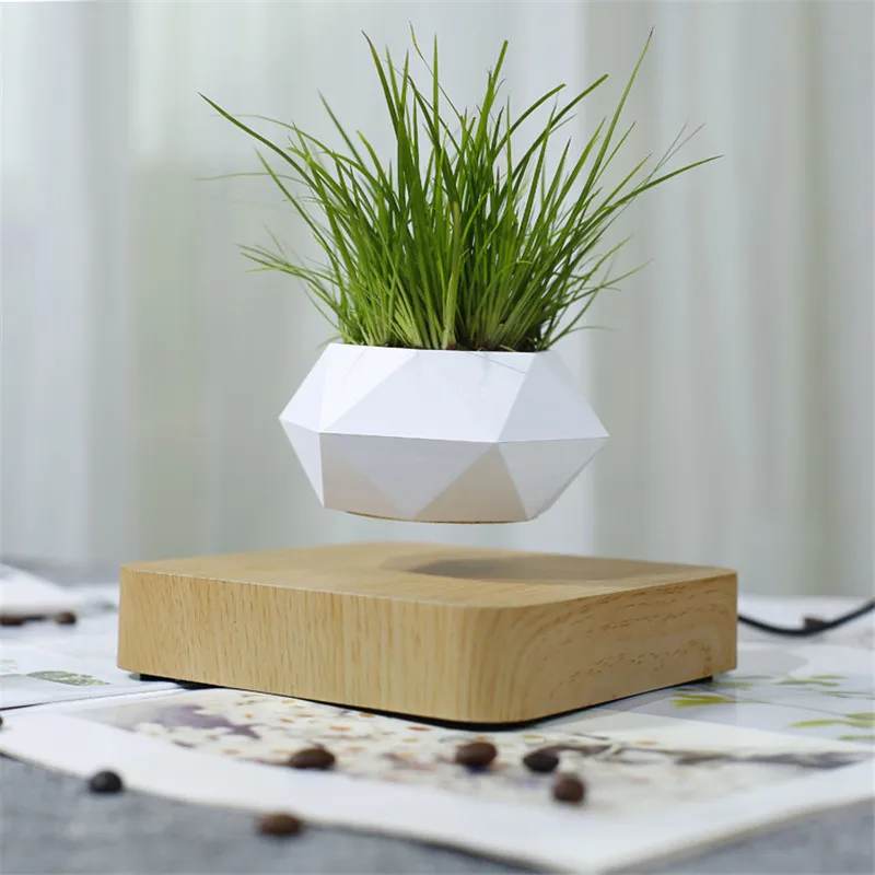 Rotatable Flower Pot Modern Desktop Planter, Magnetic Levitating Air Bonsai Pot , Planters , Suspension Floating Pot Walnut
Rotatable Flower Pot Modern Desktop Planter, Magnetic Levitating Air Bonsai Pot , Planters , Suspension Floating Pot Walnut