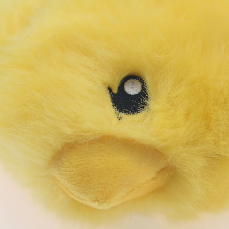pet dog toys