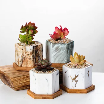 4Pcs Ceramic Succulents Flower Pots Marbling Pattern Ceramic Flower Basins Household Ceramic Flowerpots (without Plant)
4Pcs Ceramic Succulents Flower Pots Marbling Pattern Ceramic Flower Basins Household Ceramic Flowerpots (without Plant)