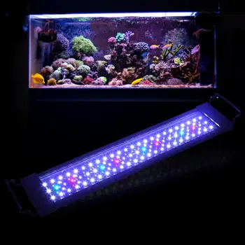 Aquarium LED Bar Light 51.5 CM Intelligent Control Aluminum Alloy Bracket Lights for Fish Tank AU Plug 18W
Aquarium LED Bar Light 51.5 CM Intelligent Control Aluminum Alloy Bracket Lights for Fish Tank AU Plug 18W
