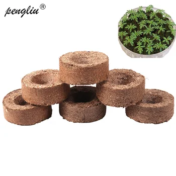 New Bonsai 45mm Peat Wood Chips Pellets Seed Starting Plugs Seeds Starter Pallet Seedling Soil Block Professional Tool 2019
New Bonsai 45mm Peat Wood Chips Pellets Seed Starting Plugs Seeds Starter Pallet Seedling Soil Block Professional Tool 2019