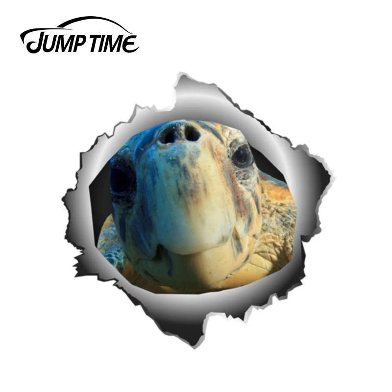 JumpTime 13 см x 12 8 черепаха животных наклейка смешной крутой 3D виниловые наклейки на