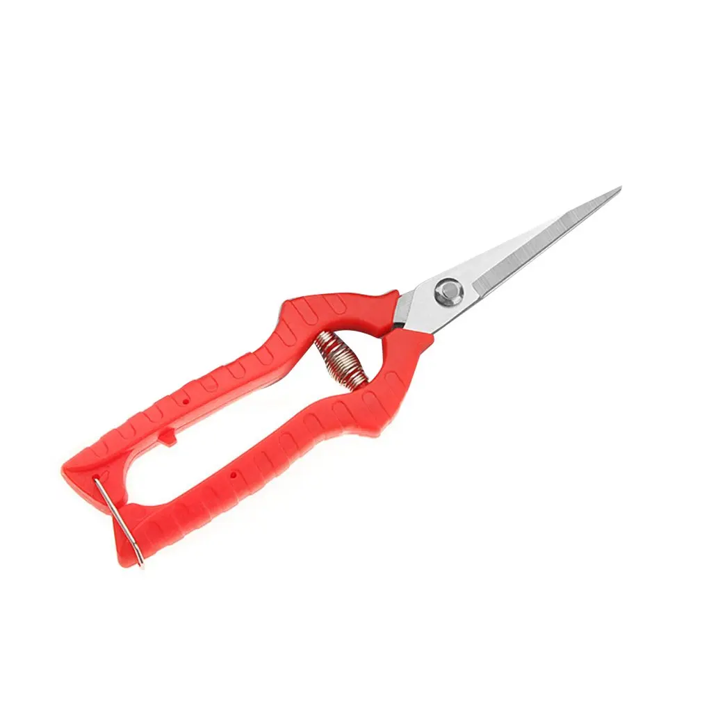 Garden Pruning Shear Stainless Steel Scissors Gardening Plant Scissor Branch Hands Pruner Trimmer Tool for Tree/Flowers Trimming
Garden Pruning Shear Stainless Steel Scissors Gardening Plant Scissor Branch Hands Pruner Trimmer Tool for Tree/Flowers Trimming