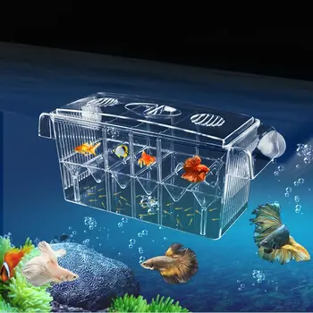 Aquarium Fish Breeder Box Hatchery Multi-Function Double Layer Fish Tank Hatching Incubator Isolation 
Aquarium Fish Breeder Box Hatchery Multi-Function Double Layer Fish Tank Hatching Incubator Isolation