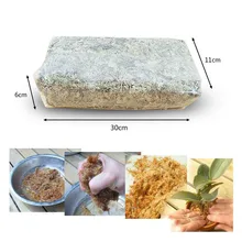 12L Sphagnum Moss Moss Sphagnum Nutrition Organic Fertilizer For Orchid Phalaenopsis Musgo Sphagnum Flower Garden Supplies
12L Sphagnum Moss Moss Sphagnum Nutrition Organic Fertilizer For Orchid Phalaenopsis Musgo Sphagnum Flower Garden Supplies