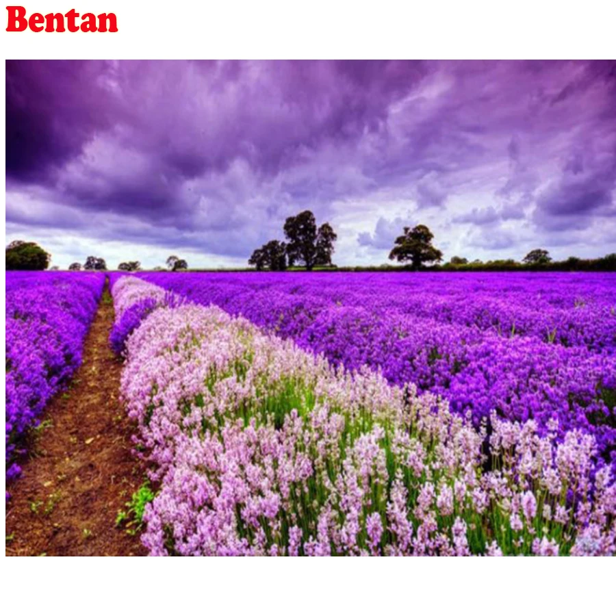 5D Diamond Embroidery Provence Landscape DIY Painting Lavender full round Mosaic Rhinestone Home Decor painting | Дом и сад