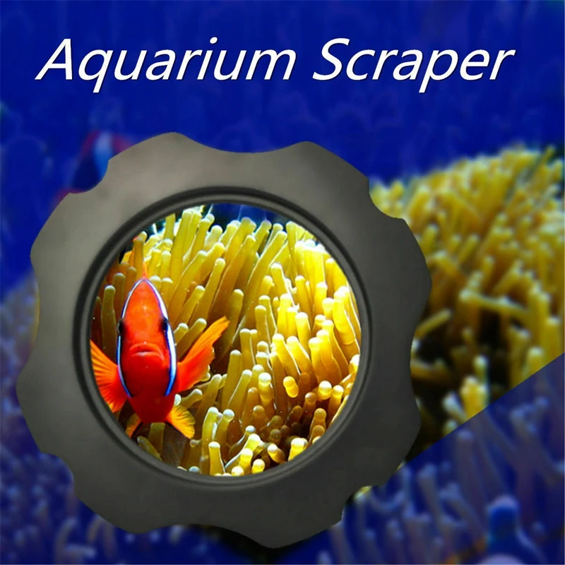 NEW-2 in 1 Aquarium Magnifier Magnetic Glass Cleaner Fish Tank Cleaner Scraper Up To 15Mm
NEW-2 in 1 Aquarium Magnifier Magnetic Glass Cleaner Fish Tank Cleaner Scraper Up To 15Mm