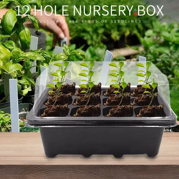 12 Cells Plastic Nursery Pots with Breathable Hole Planting Seed Tray Kit Germination Box with Dome Base Garden Grow Box #30
12 Cells Plastic Nursery Pots with Breathable Hole Planting Seed Tray Kit Germination Box with Dome Base Garden Grow Box #30