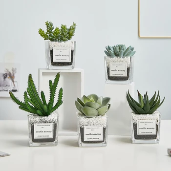 Creative cactus Simulation of multi meat potted ornaments office desk decoration miniature garden Decorative simulation plants o
Creative cactus Simulation of multi meat potted ornaments office desk decoration miniature garden Decorative simulation plants o