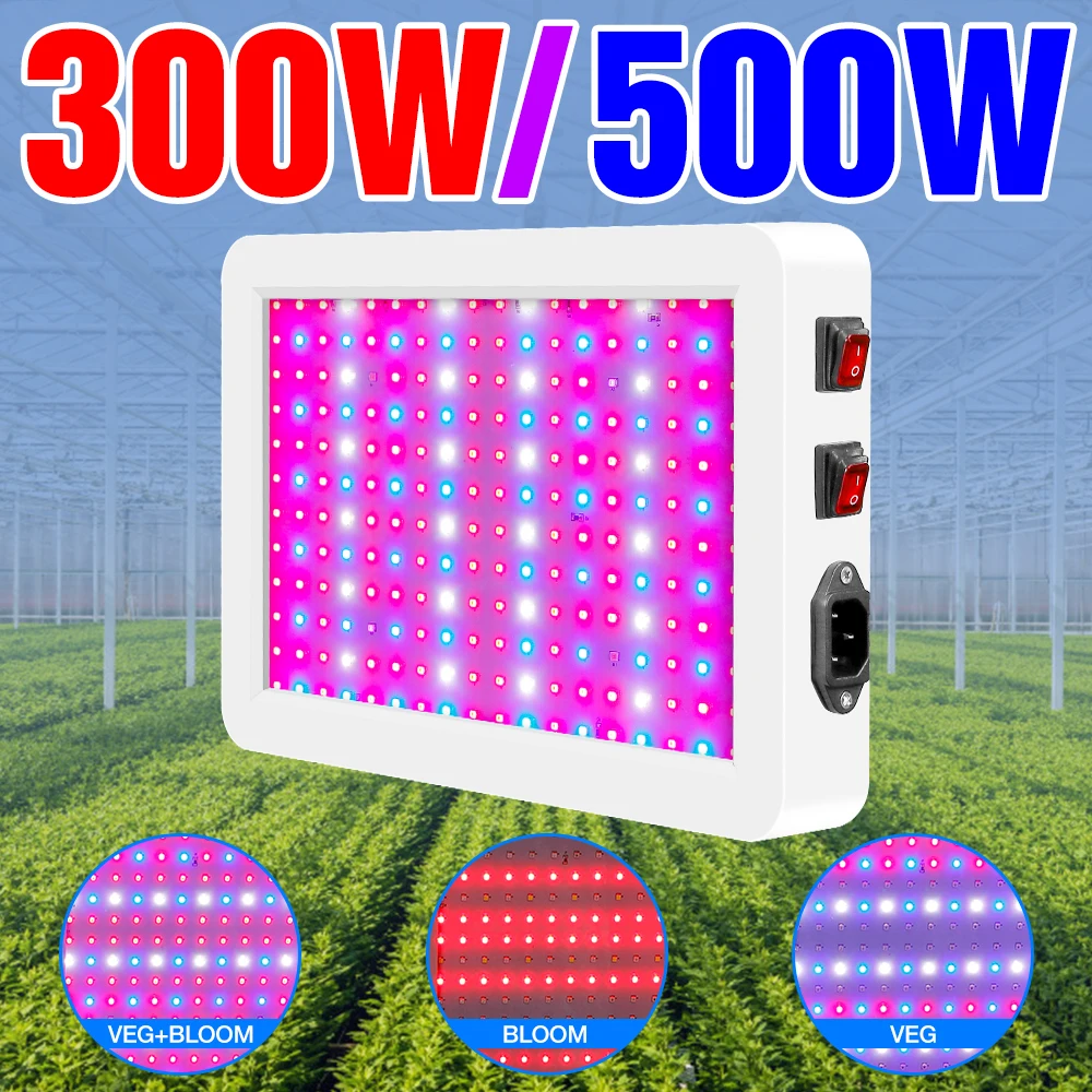 Plant Lamp 220V Indoor Full Spectrum Grow Light LED Hydroponics Flower Fitolampy Lampada 300W 500W Phyto Lights EU US UK Plug
Plant Lamp 220V Indoor Full Spectrum Grow Light LED Hydroponics Flower Fitolampy Lampada 300W 500W Phyto Lights EU US UK Plug