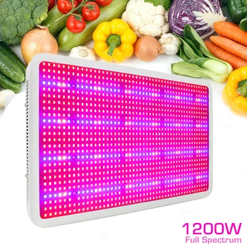 1200W Led Grow Light 1200 LEDs Full Spectrum Super Power UV IR Phytolamp For Plants Vertical Farming Flower Seeds Grow Tent Kit
1200W Led Grow Light 1200 LEDs Full Spectrum Super Power UV IR Phytolamp For Plants Vertical Farming Flower Seeds Grow Tent Kit