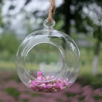 Free Shipping 2pcs/pack Diameter=15cm Glass Terrarium Vase Home Decoration DIY Micro Landscape Glass Ball Terrarium Friend Gift
Free Shipping 2pcs/pack Diameter=15cm Glass Terrarium Vase Home Decoration DIY Micro Landscape Glass Ball Terrarium Friend Gift