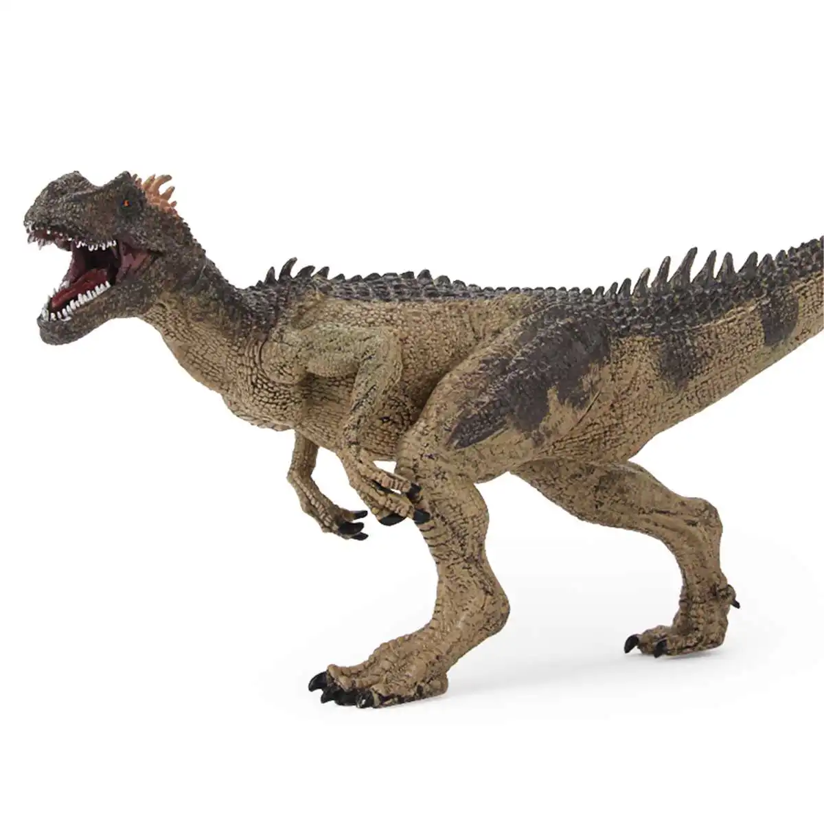 Unisex PVC Animal Toy Jurassic Allosaurus Dinosaur Toys Dinosaur Model Large Solid Simulated Anime Figure 5-7 Years Puppets
Unisex PVC Animal Toy Jurassic Allosaurus Dinosaur Toys Dinosaur Model Large Solid Simulated Anime Figure 5-7 Years Puppets