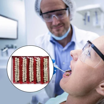 10sets Pro Dental Material Plastic Teeth Teaching Model Dedicated Teeth Dental Material Useful Teeth Care Tool
10sets Pro Dental Material Plastic Teeth Teaching Model Dedicated Teeth Dental Material Useful Teeth Care Tool