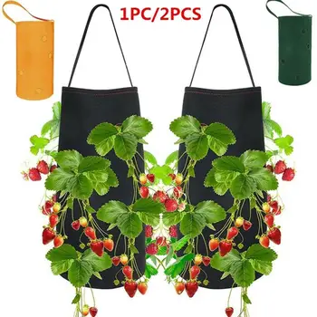 Flower Planting Bag Strawberry Planting Bag Non-Woven Hanging Sweet Potato Moisturizing Breathable Creative Practical
Flower Planting Bag Strawberry Planting Bag Non-Woven Hanging Sweet Potato Moisturizing Breathable Creative Practical