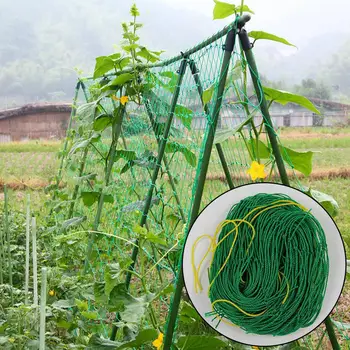 Plant Climbing Net Vine And Veggie Trellis Net Thickened Reusable Space Saving Durable Nylon Vegetables Grow Trellis Net
Plant Climbing Net Vine And Veggie Trellis Net Thickened Reusable Space Saving Durable Nylon Vegetables Grow Trellis Net