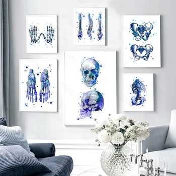 Blue Anatomy Medicine Bone Pelvis Spine Wall Art Canvas Painting Nordic Posters And Prints Wall Pictures For Living Room Decor
Blue Anatomy Medicine Bone Pelvis Spine Wall Art Canvas Painting Nordic Posters And Prints Wall Pictures For Living Room Decor