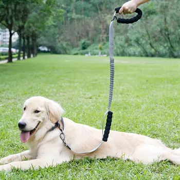 Large Dog Elastic Bungee Training Leash, Dog Anti Pull Shock Absorbing Traction Rope With 2 Control Handles
Large Dog Elastic Bungee Training Leash, Dog Anti Pull Shock Absorbing Traction Rope With 2 Control Handles