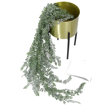 Simulation Plant Wealth Grass Plants Pearls Fleshy Green Vine Artificial Flowers Hanging Rattan Wall Garden Decoration 4
Simulation Plant Wealth Grass Plants Pearls Fleshy Green Vine Artificial Flowers Hanging Rattan Wall Garden Decoration 4