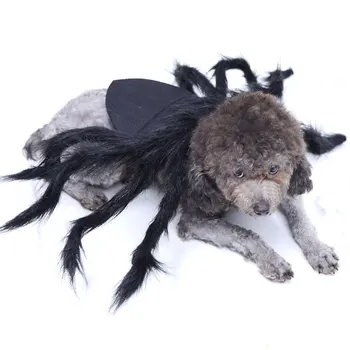 Dog Clothes Halloween Black Spider Funny Monster Wire Feet Small Medium and Large Dogs Cat Pet Supplies Halloween
Dog Clothes Halloween Black Spider Funny Monster Wire Feet Small Medium and Large Dogs Cat Pet Supplies Halloween