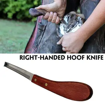 Hoof Cutter Tool Horse Farrier Hoof Nipper Horseshoe File with Handle Hoof Cutter Horse Care Accessory Animal Foot Pruning Tools
Hoof Cutter Tool Horse Farrier Hoof Nipper Horseshoe File with Handle Hoof Cutter Horse Care Accessory Animal Foot Pruning Tools