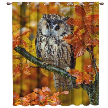 Animals Owl Maple Leaf Window Treatments Curtains Valance Decor Bedroom Fabric Drapes Indoor Decor Kids Window Treatment
Animals Owl Maple Leaf Window Treatments Curtains Valance Decor Bedroom Fabric Drapes Indoor Decor Kids Window Treatment