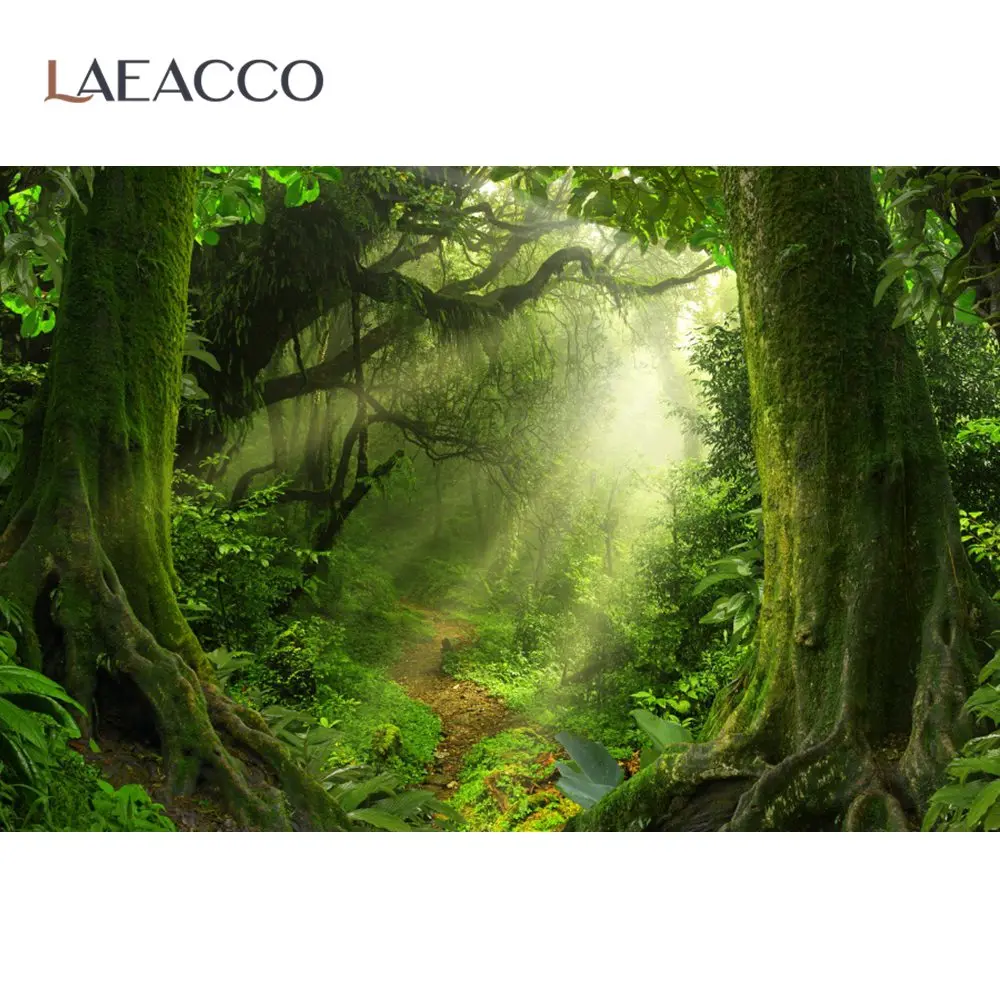 Old Tree Forest Backdrops For Photography Green Rainforest Moss Shrub Pathway Natural View Scenic Photo Background Photostudio
Old Tree Forest Backdrops For Photography Green Rainforest Moss Shrub Pathway Natural View Scenic Photo Background Photostudio