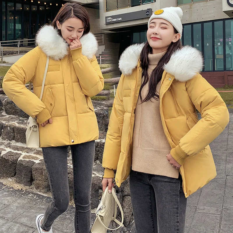 2019 Korean-style Short down Jacket Students Plus-sized Cotton-padded Clothes Simple Hot Selling
2019 Korean-style Short down Jacket Students Plus-sized Cotton-padded Clothes Simple Hot Selling