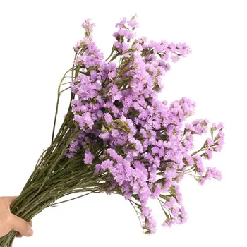 200g/1000g DIY Dried Forgetmenot Flower Bouquet Wedding Party Pure natural plant Home Garden decoration
200g/1000g DIY Dried Forgetmenot Flower Bouquet Wedding Party Pure natural plant Home Garden decoration
