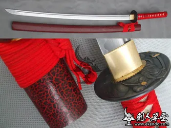 -IKENDO.NET-Iaido Practise Katana Infernal - E003 - Katana 98cm 900g Iaido Practise dull blade
-IKENDO.NET-Iaido Practise Katana Infernal - E003 - Katana 98cm 900g Iaido Practise dull blade