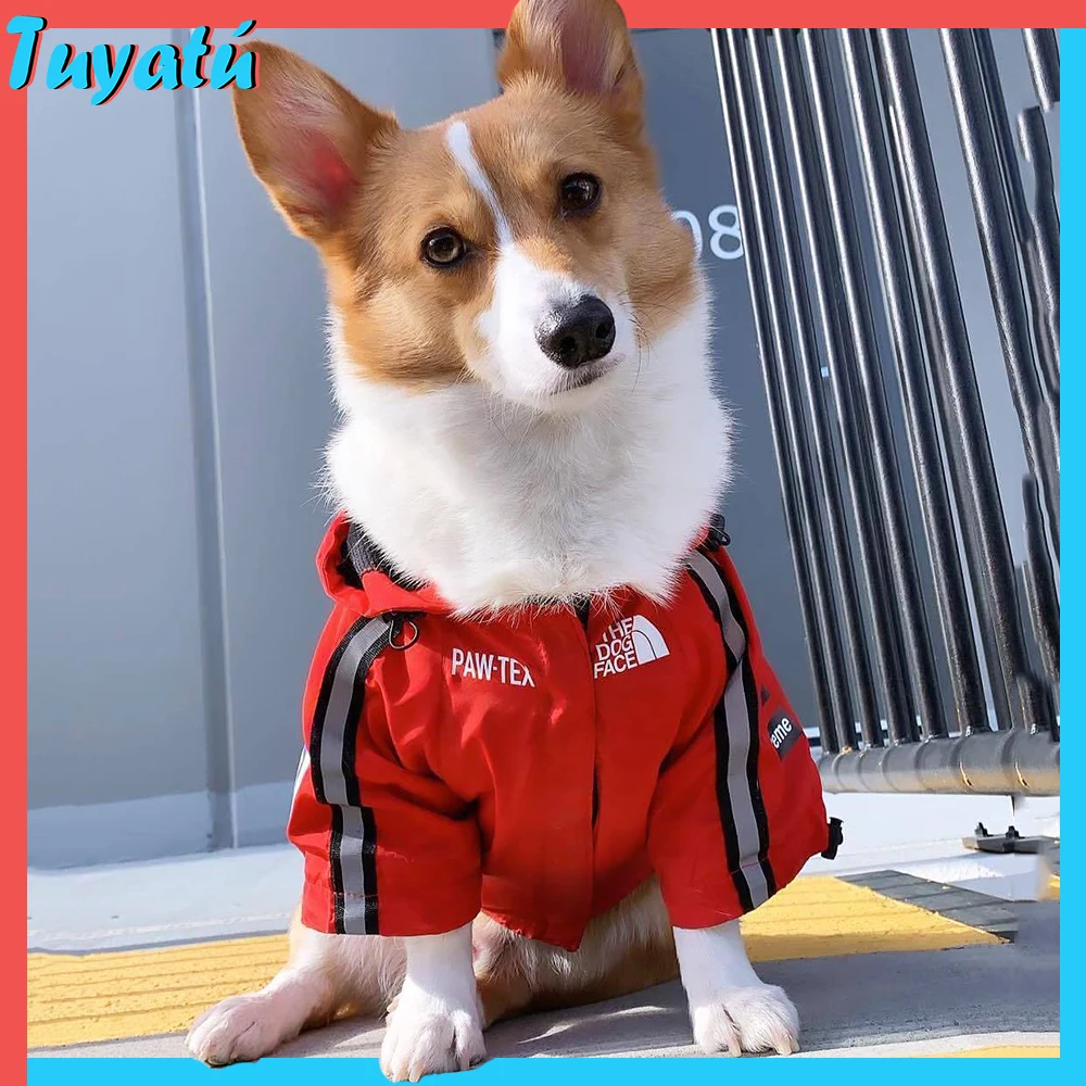 Winter Large Small Dog Clothes for Small Dogs Clothing for Dogs Winter Yorkov French Bulldog Dog Cloat Windbreaker Pug Chihuahua
Winter Large Small Dog Clothes for Small Dogs Clothing for Dogs Winter Yorkov French Bulldog Dog Cloat Windbreaker Pug Chihuahua