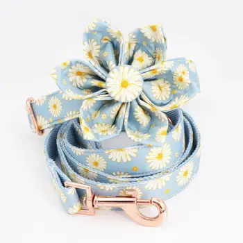 Daisy dog collar dog flower and leash set for pet dog cat with rose gold metal buckle
Daisy dog collar dog flower and leash set for pet dog cat with rose gold metal buckle