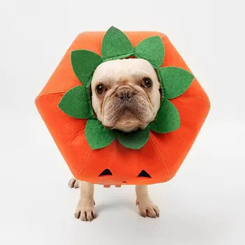 Adjustable Pumpkin Pet Collar Puppy Kitten Collar Halloween Fancy Dress Up Cosplay Party Outfit Interesting Clothing Supplies
Adjustable Pumpkin Pet Collar Puppy Kitten Collar Halloween Fancy Dress Up Cosplay Party Outfit Interesting Clothing Supplies